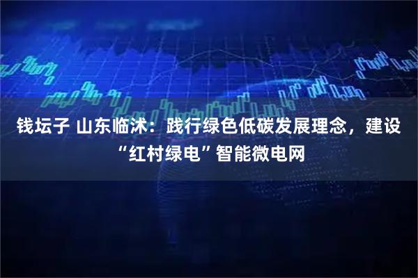 钱坛子 山东临沭:践行绿色低碳发展理念,建设“红村绿电”智能微电网