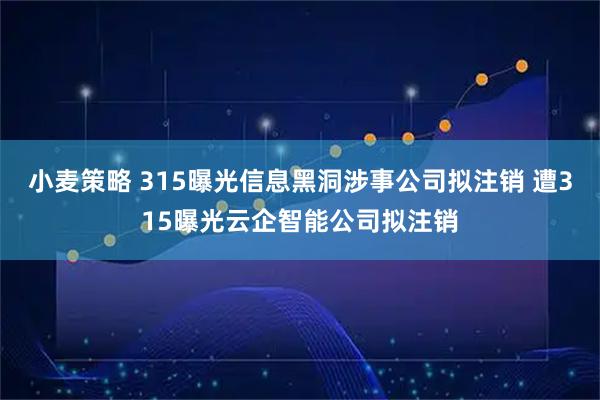 小麦策略 315曝光信息黑洞涉事公司拟注销 遭315曝光云企智能公司拟注销
